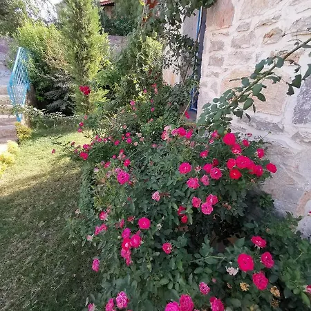 Oda ve Kahvaltı La Petra Eski